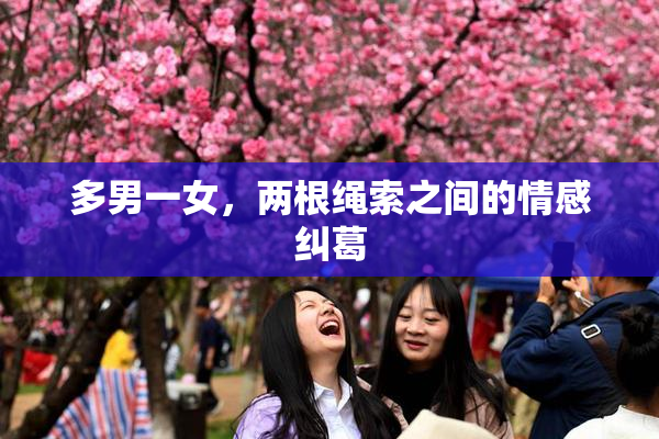 多男一女，两根绳索之间的情感纠葛