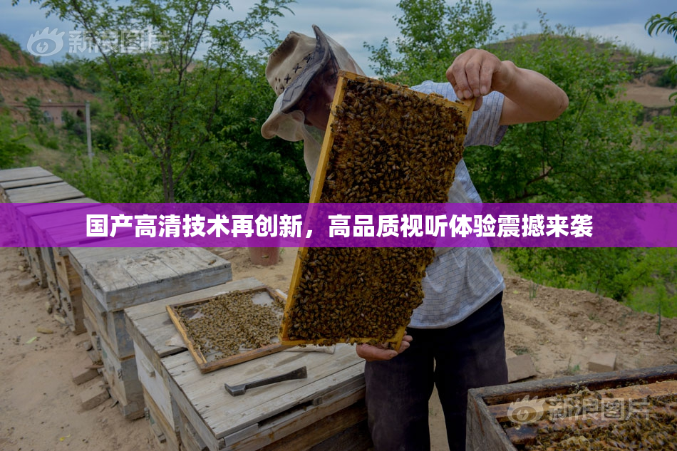 国产高清技术再创新，高品质视听体验震撼来袭
