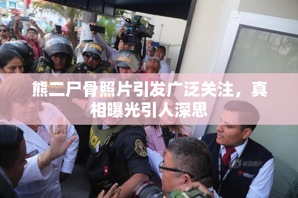 熊二尸骨照片引发广泛关注，真相曝光引人深思