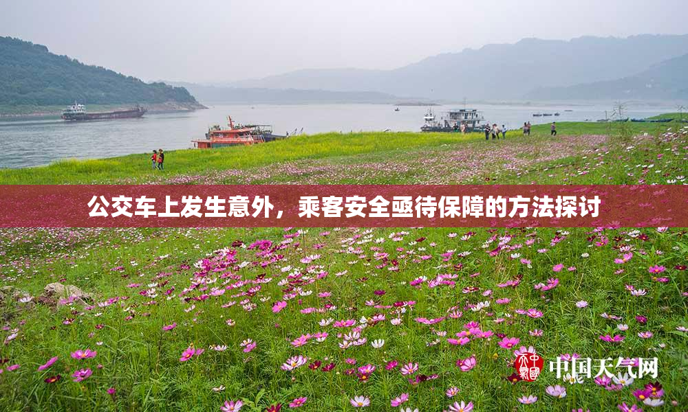公交车上发生意外，乘客安全亟待保障的方法探讨