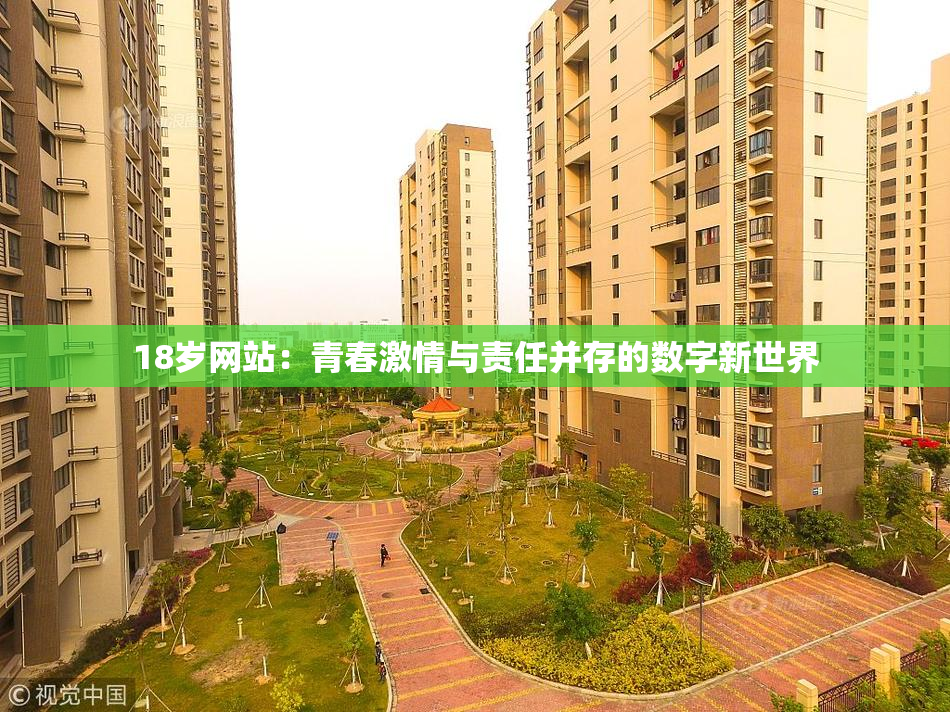 18岁网站：青春激情与责任并存的数字新世界
