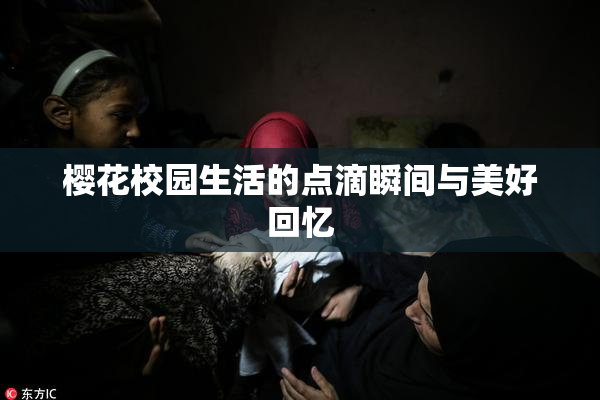 樱花校园生活的点滴瞬间与美好回忆
