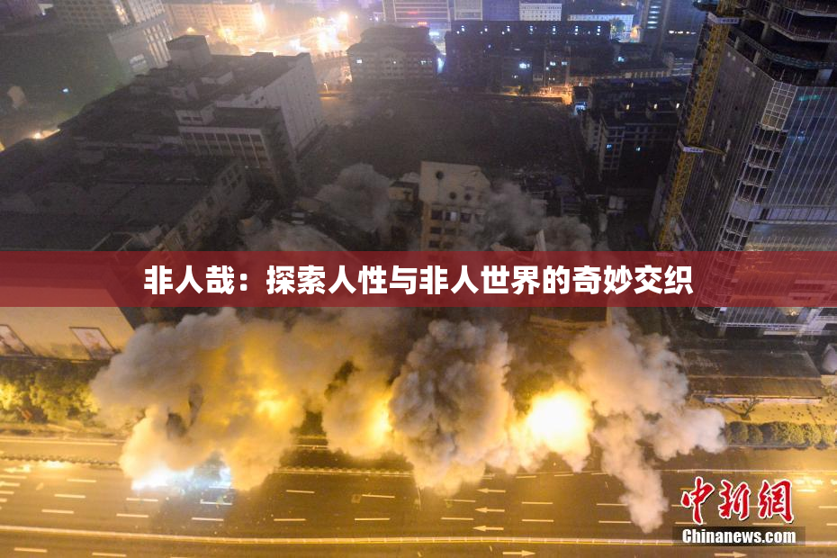非人哉：探索人性与非人世界的奇妙交织
