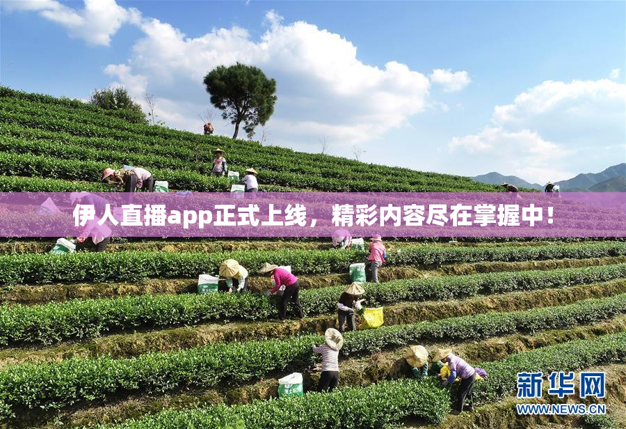 伊人直播app正式上线，精彩内容尽在掌握中！
