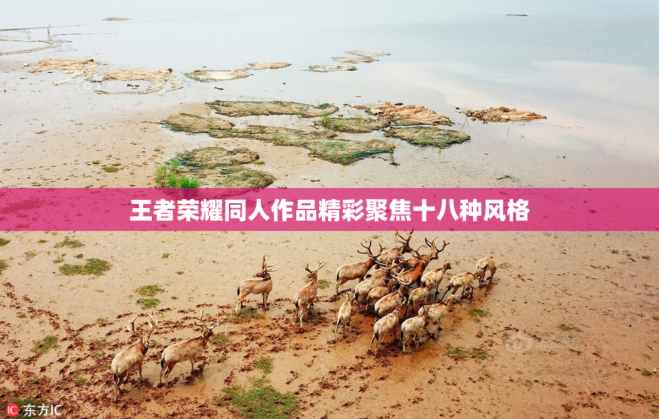 王者荣耀同人作品精彩聚焦十八种风格