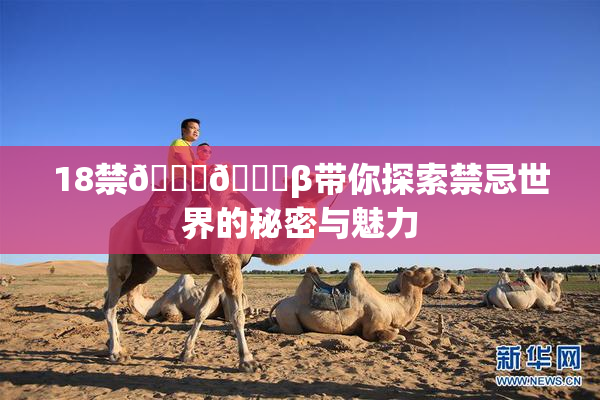 18禁🍆🍑β带你探索禁忌世界的秘密与魅力