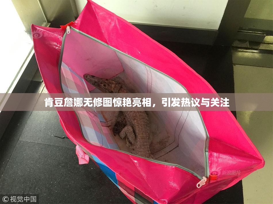 肯豆詹娜无修图惊艳亮相，引发热议与关注