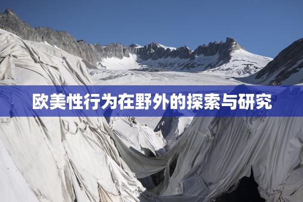 欧美性行为在野外的探索与研究