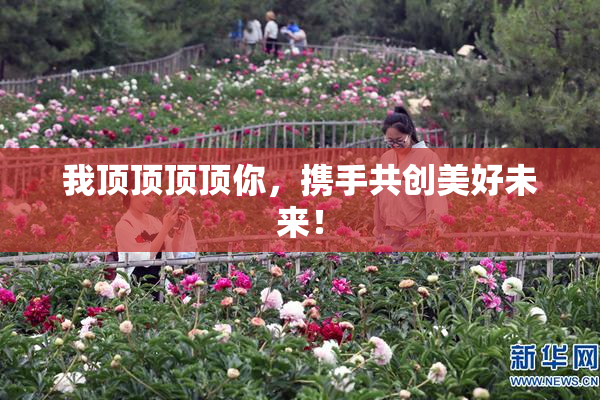 我顶顶顶顶你，携手共创美好未来！