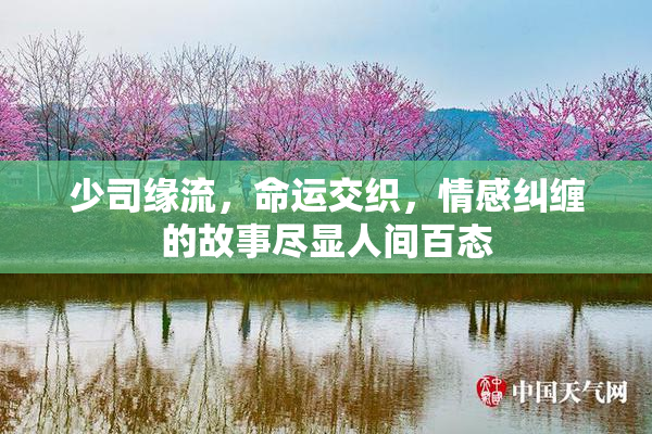 少司缘流，命运交织，情感纠缠的故事尽显人间百态
