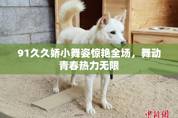 91久久娇小舞姿惊艳全场，舞动青春热力无限