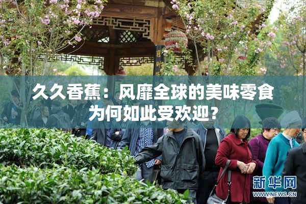 久久香蕉：风靡全球的美味零食为何如此受欢迎？