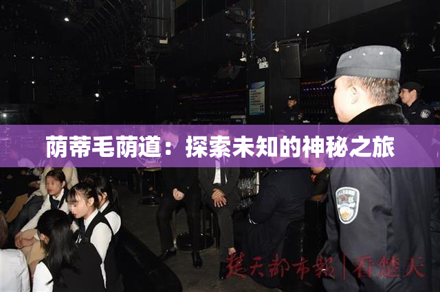 荫蒂毛荫道：探索未知的神秘之旅
