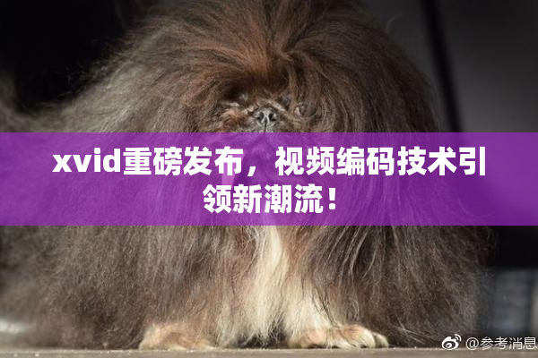 xvid重磅发布，视频编码技术引领新潮流！