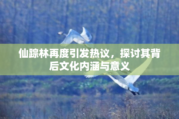仙踪林再度引发热议，探讨其背后文化内涵与意义