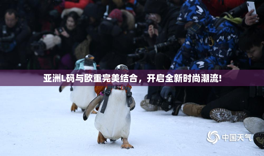亚洲L码与欧重完美结合，开启全新时尚潮流!