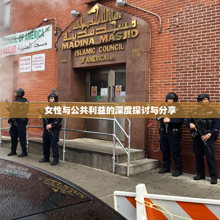 女性与公共利益的深度探讨与分享