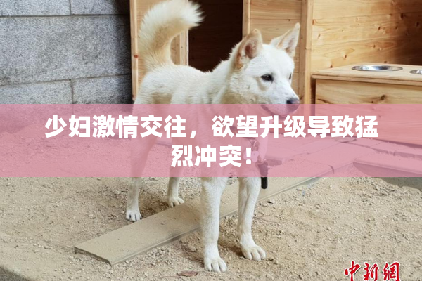 少妇激情交往，欲望升级导致猛烈冲突！