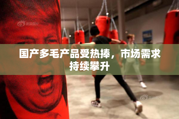 国产多毛产品受热捧，市场需求持续攀升