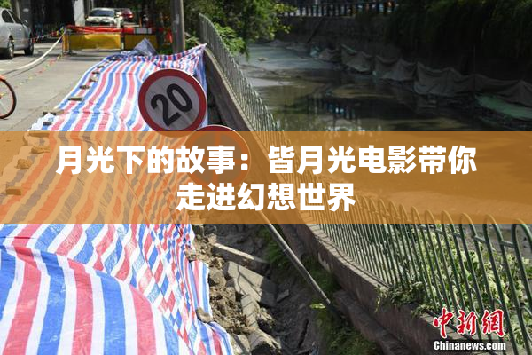 月光下的故事：皆月光电影带你走进幻想世界