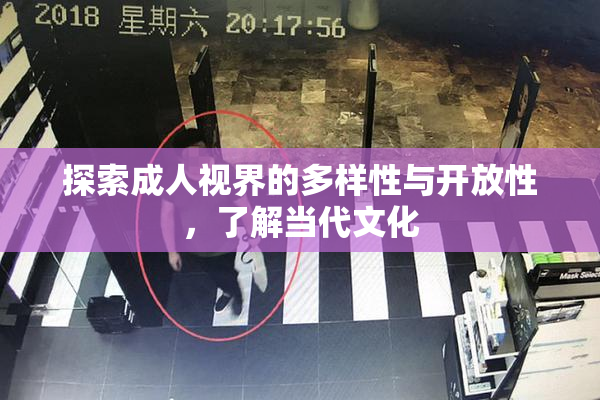 探索成人视界的多样性与开放性，了解当代文化