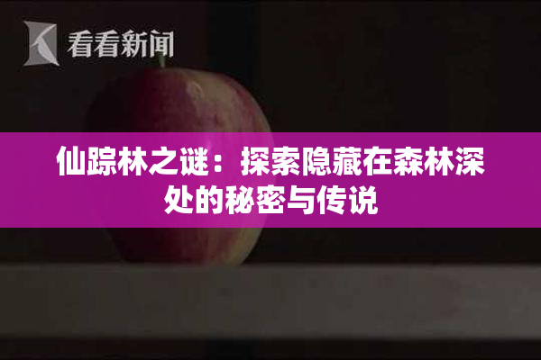 仙踪林之谜：探索隐藏在森林深处的秘密与传说