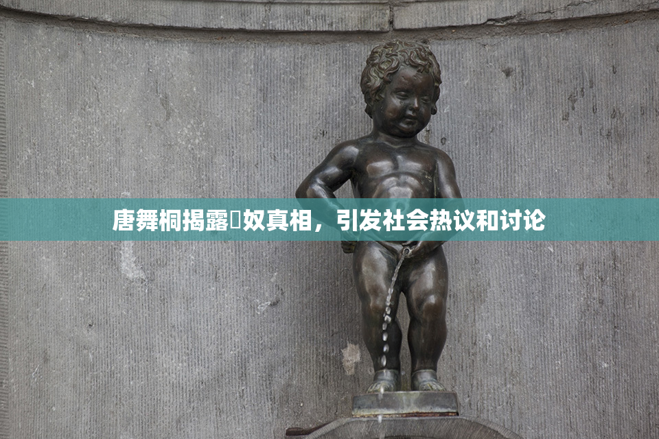 唐舞桐揭露婬奴真相，引发社会热议和讨论