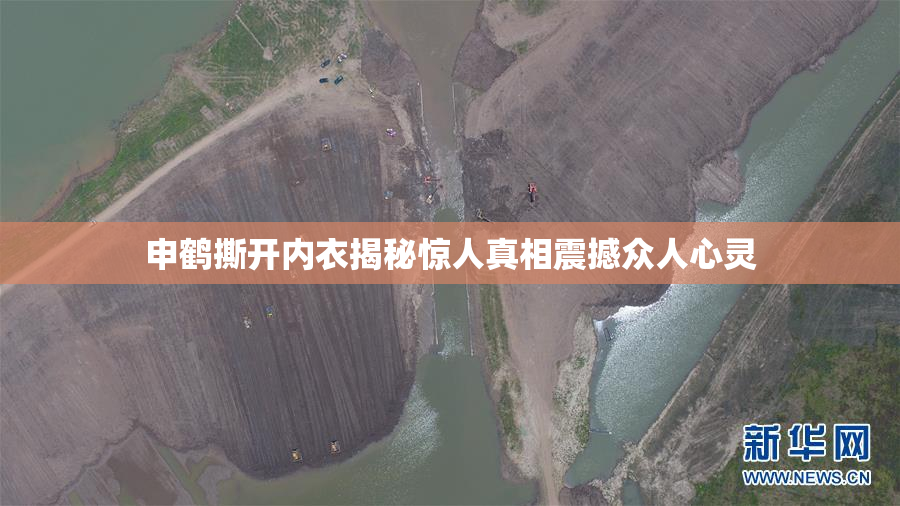 申鹤撕开内衣揭秘惊人真相震撼众人心灵