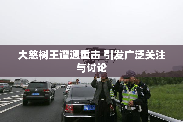 大慈树王遭遇重击 引发广泛关注与讨论