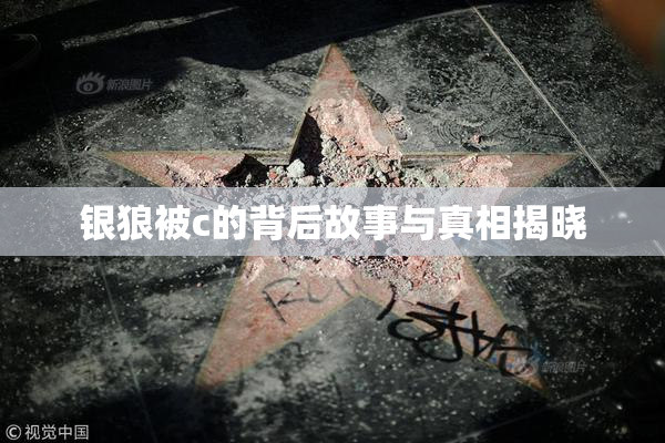 银狼被c的背后故事与真相揭晓