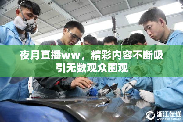 夜月直播ww，精彩内容不断吸引无数观众围观