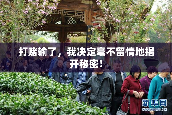 打赌输了，我决定毫不留情地揭开秘密！