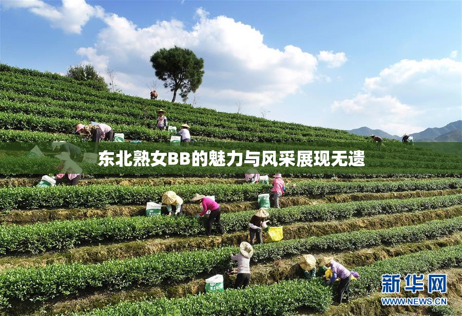 东北熟女BB的魅力与风采展现无遗
