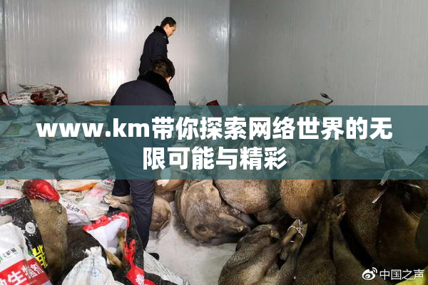 www.km带你探索网络世界的无限可能与精彩