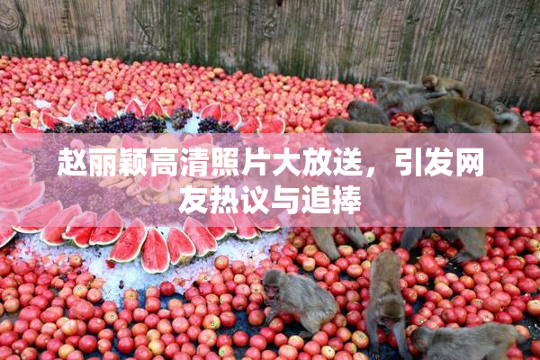赵丽颖高清照片大放送，引发网友热议与追捧