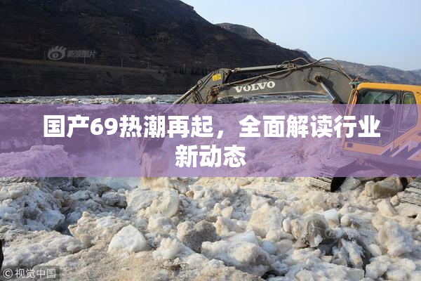 国产69热潮再起，全面解读行业新动态