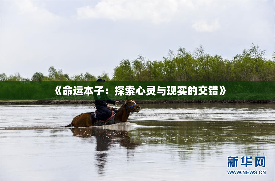 《命运本子：探索心灵与现实的交错》
