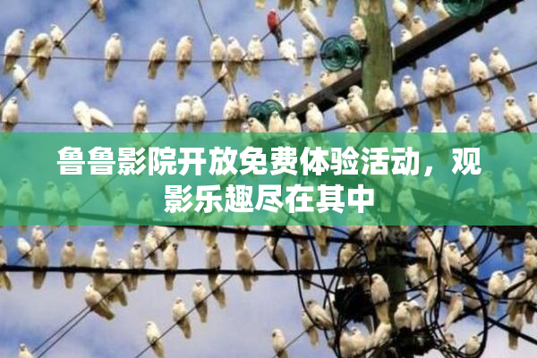 鲁鲁影院开放免费体验活动，观影乐趣尽在其中