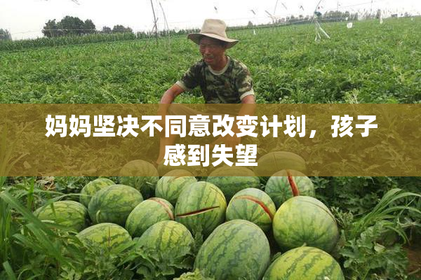 妈妈坚决不同意改变计划，孩子感到失望
