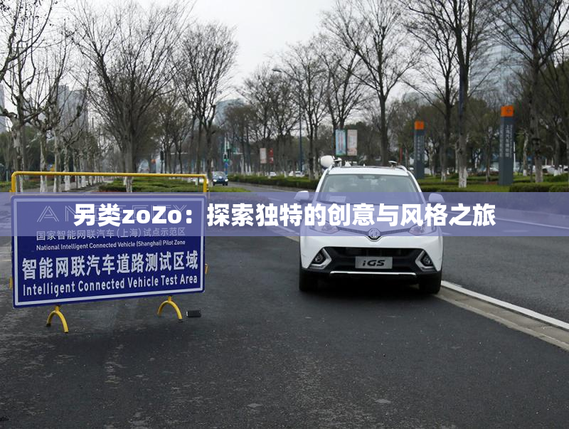 另类zoZo：探索独特的创意与风格之旅