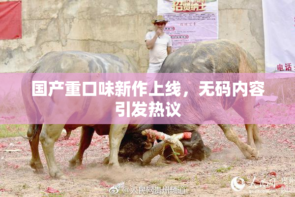 国产重口味新作上线，无码内容引发热议
