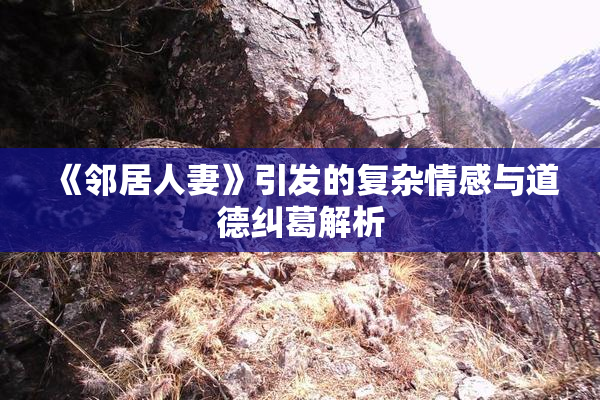《邻居人妻》引发的复杂情感与道德纠葛解析