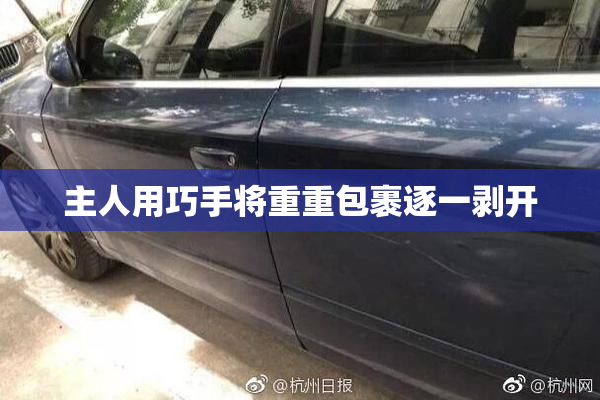 主人用巧手将重重包裹逐一剥开