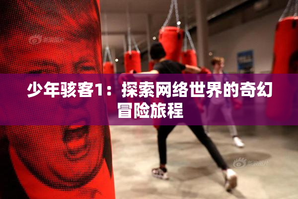 少年骇客1：探索网络世界的奇幻冒险旅程