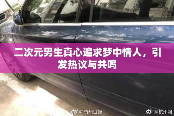 二次元男生真心追求梦中情人，引发热议与共鸣