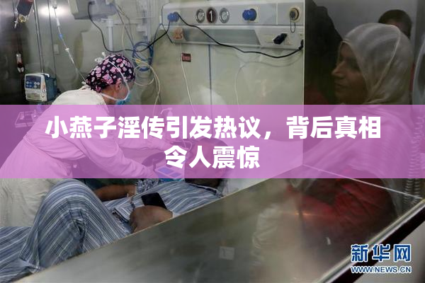小燕子淫传引发热议，背后真相令人震惊