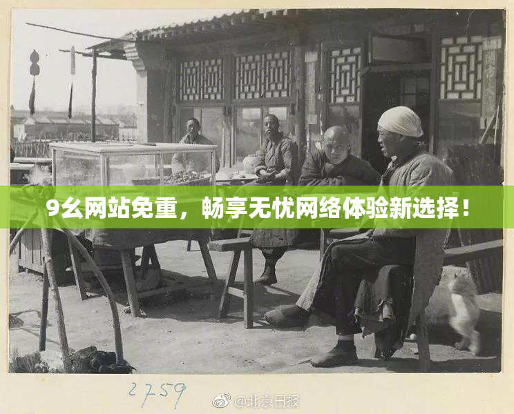 9幺网站免重，畅享无忧网络体验新选择！