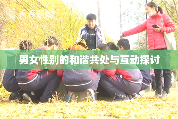 男女性别的和谐共处与互动探讨