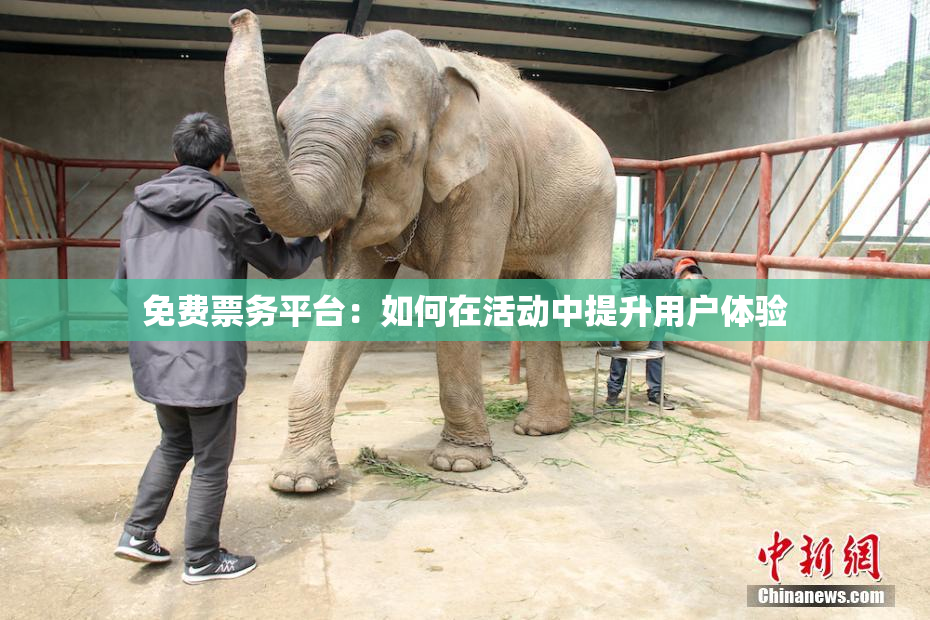 免费票务平台：如何在活动中提升用户体验