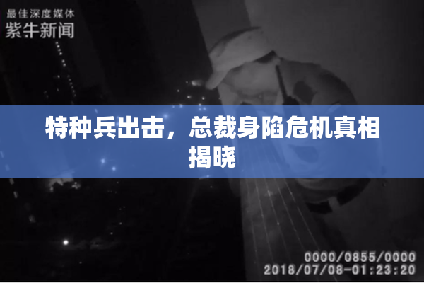 特种兵出击，总裁身陷危机真相揭晓
